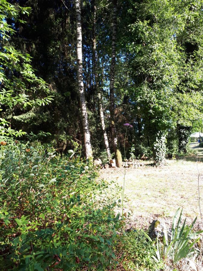 Plaud Gite De Lac Tranquille מראה חיצוני תמונה