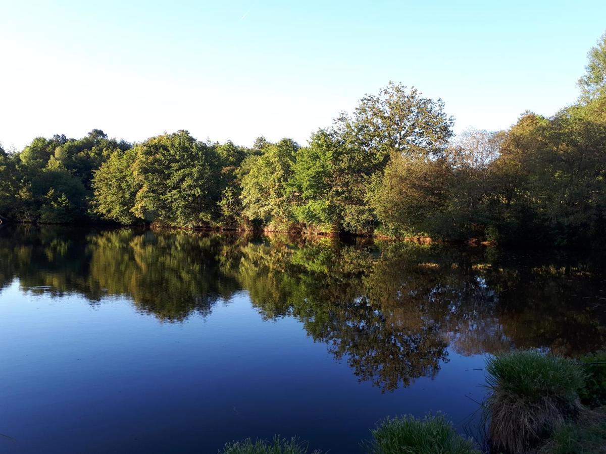 Plaud Gite De Lac Tranquille מראה חיצוני תמונה